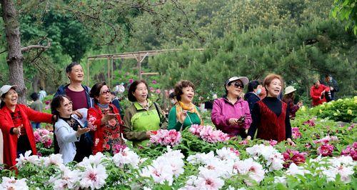 牡丹与荷花（繁花绽放）