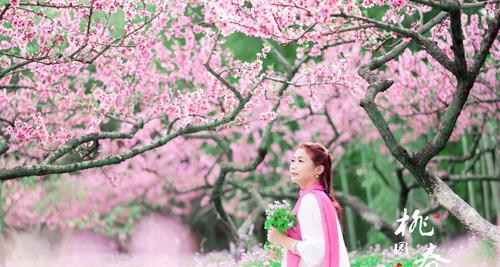 桃花的花语（桃花之美与深意）