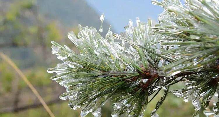 寒潮袭击，降温16℃以上（这场寒潮来势汹汹）