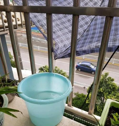 收集雨水浇花，环保又省钱（浪费不如收集）