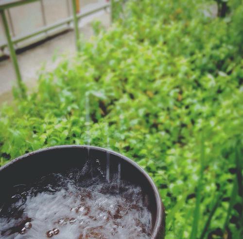 空调流出的水可以用来浇花吗（一种环保又省钱的浇花方法）