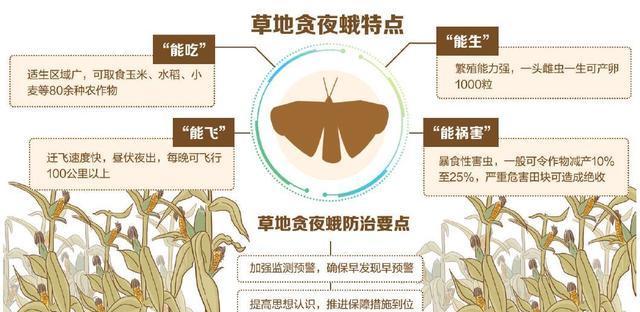 空气凤梨叶片发黄的原因和处理方法（了解凤梨的喜好及养护方法）