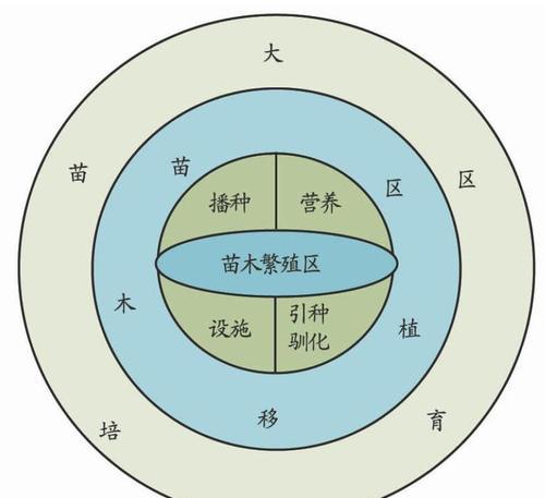 大叶空心菜种植全攻略（从时间到方法）