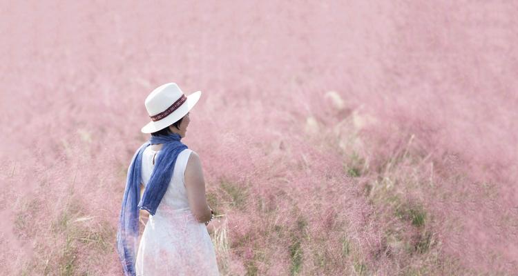 粉黛乱子草，花开满园（花语探秘）