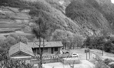 野山茶下山桩的养护（打造美丽庭院）