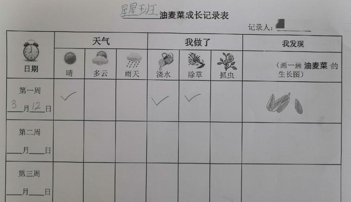 蛋黄果种子的种植方法（从选种到移栽）