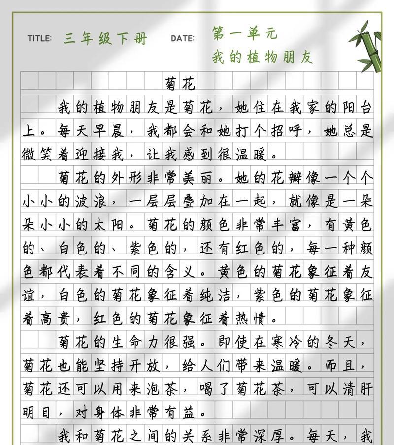 研究菊花后的感想作文600字