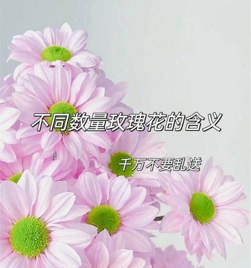 373朵玫瑰花代表什么含义？