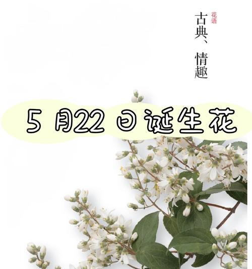 五月的花语有哪些？