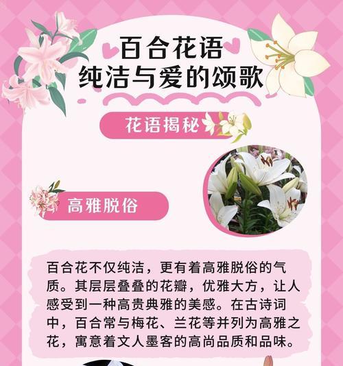 说像百合花是什么意思？这句话背后有何含义？