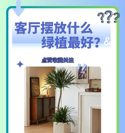 客厅要放什么植物好？如何选择适合的室内植物？